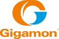 Gigamon